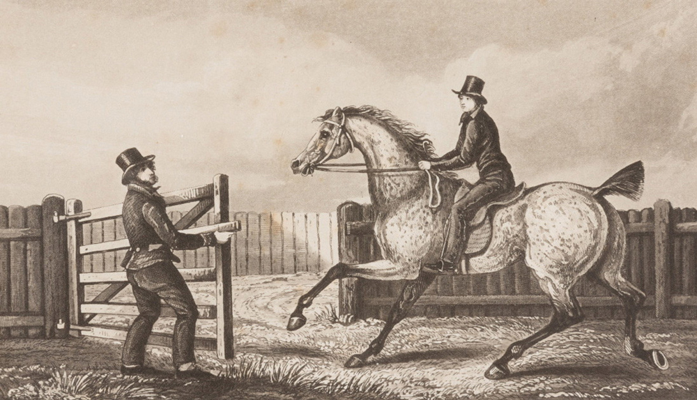 Image 1 of 6 - Black and white drawing of woman in black attire and top hat mounted on a horse on the right hand-side. On the left-hand side, a man wearing the same attire and top hat, opening a wooden door attached to the fence for the horse. There are clouds in the sky and a fence in background.