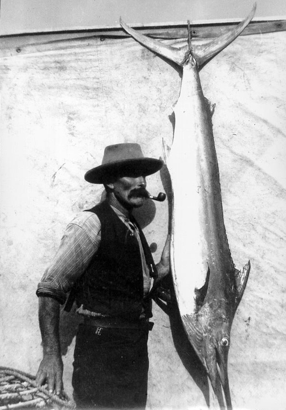 Image 1 of 2 - The Black Marlin caught by Dr Lidwill hanging by its tail against a boat sail. To the left, steadying the specimen is boatman Dick Waterson. Photographed by A. Littlemore on 8th February 1913