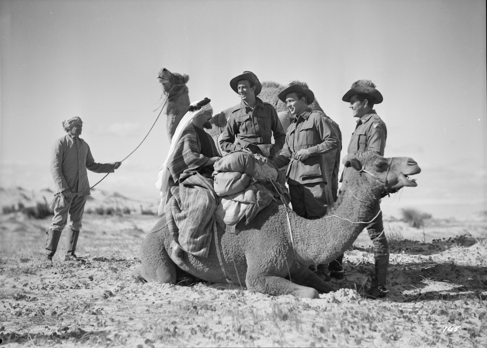 Image 1 of 4 - Black and white image of 5 men and two camels. 3 men are dressed in military uniforms as they talk to a man on the camel. The other man is in the background holding the leash attached to the second camel.